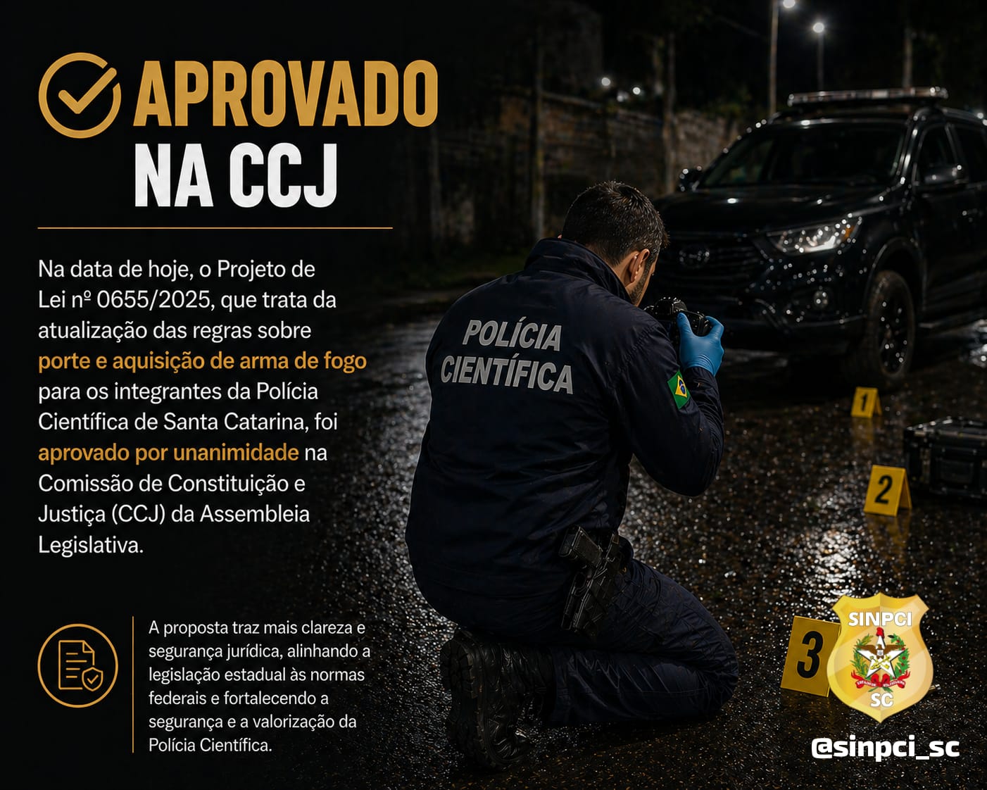 Aprovado na CCJ atualização sobre porte e aquisição de arma de fogo